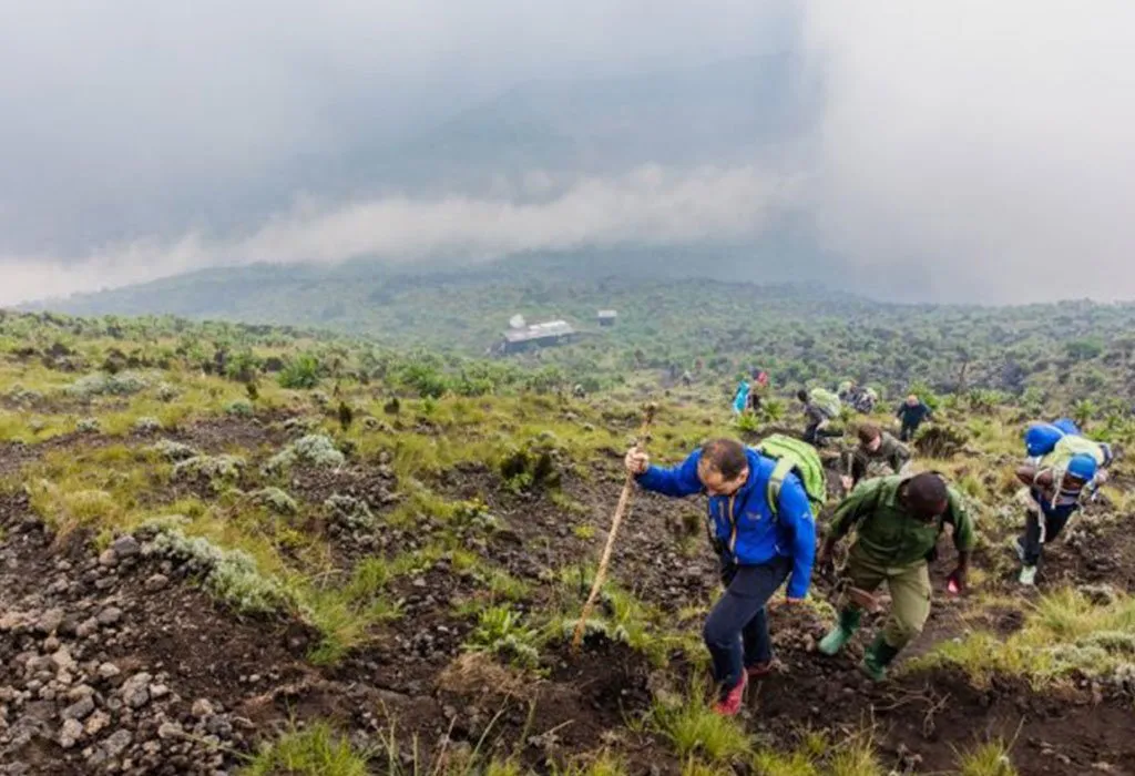 Hiking landscape in Volcanoes National Park