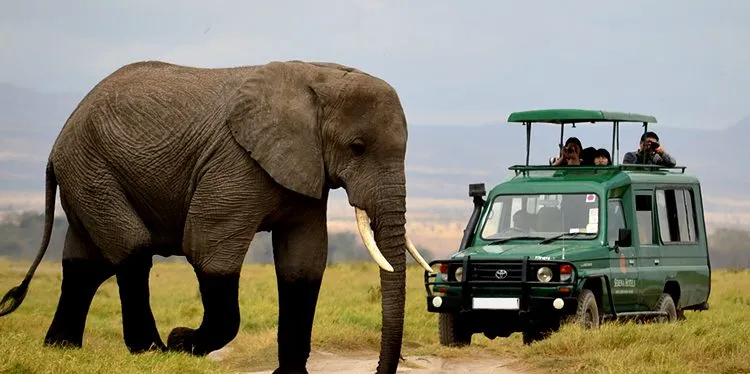 Rwanda Grand Circuit: Parks & Lake in Rwanda