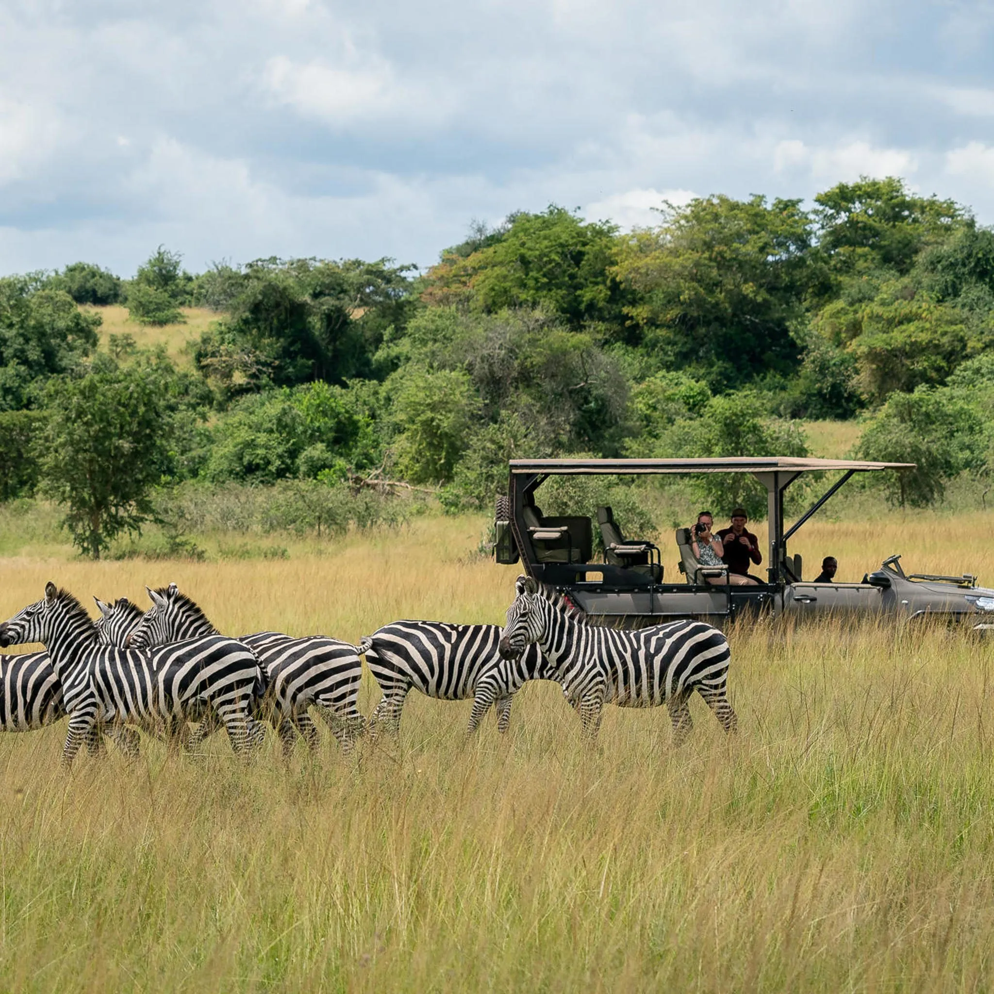 Savannah landscape at Akagera National Park in Rwanda