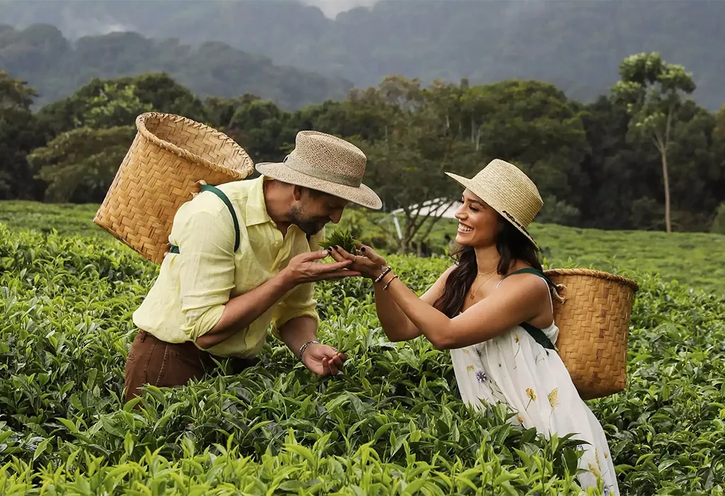 Nyungwe Forest & Tea Landscapes in Rwanda