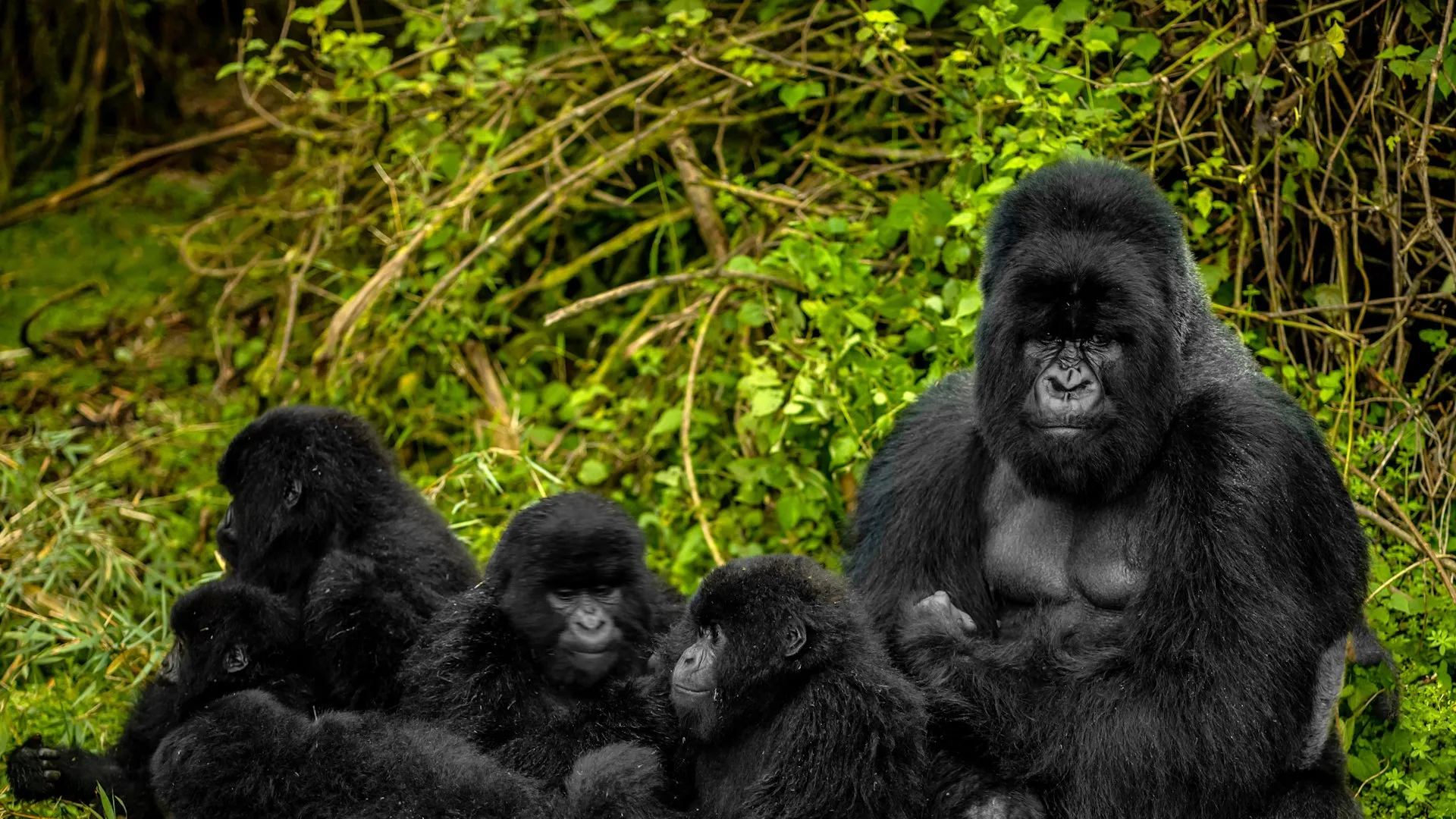 Rwanda Extended Discovery Journey in Rwanda