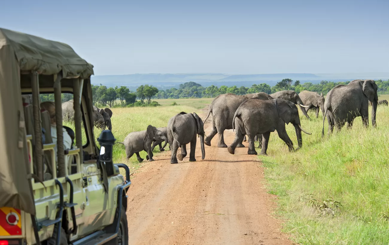 Rwanda Savannah & Rainforest Explorer in Rwanda