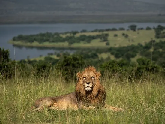 akagera national park