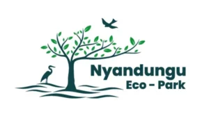nyandungu