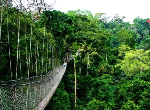 aaaa