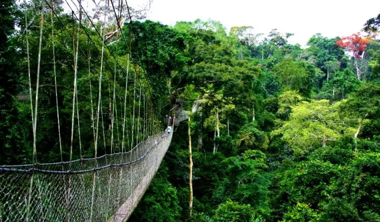 aaaa