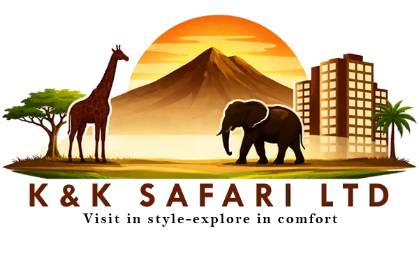 logo (1)
