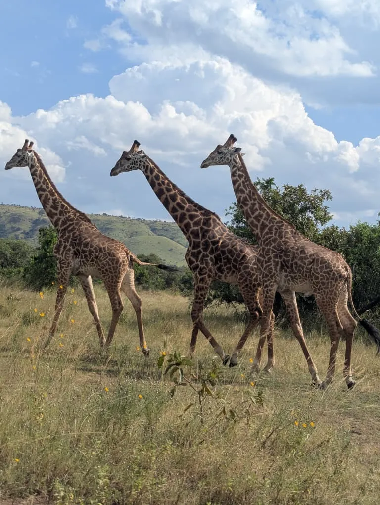 visit rwanda